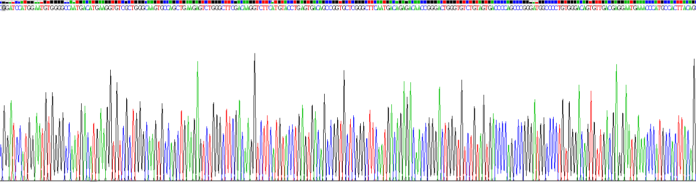 Recombinant Uromodulin (UMOD)