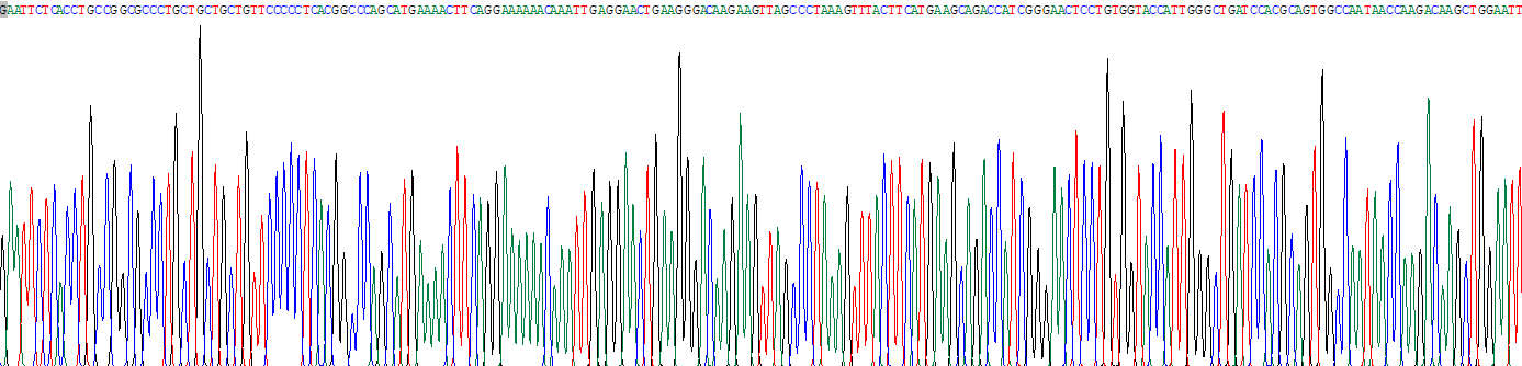 Recombinant Ubiquitin Carboxyl Terminal Hydrolase L1 (UCHL1)