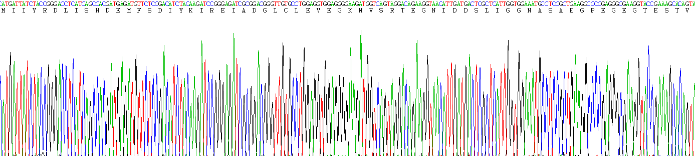 Recombinant Tumor Protein, Translationally Controlled 1 (TPT1)