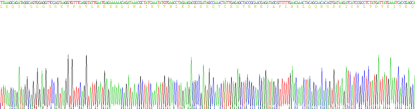 Recombinant TTK Protein Kinase (TTK)