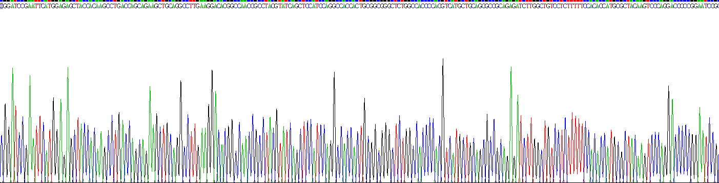 Recombinant Transketolase (TKT)