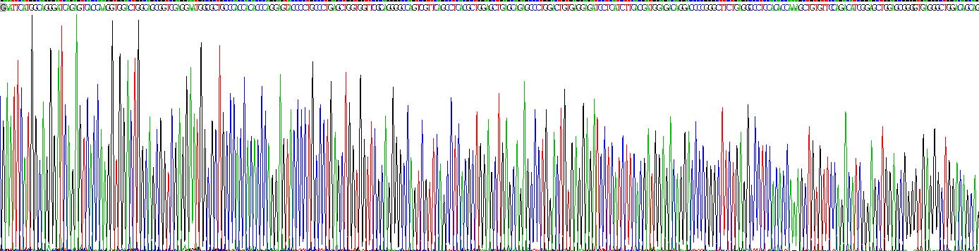 Recombinant Transglutaminase 6 (TGM6)