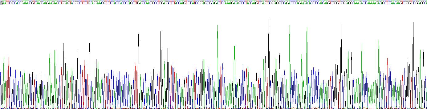 Recombinant Trans Golgi Network Protein 2 (TGOLN2)