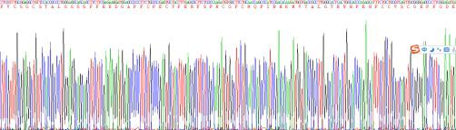 Recombinant Transforming Growth Factor Beta 1 Induced Transcript 1 (TGFb1I1)