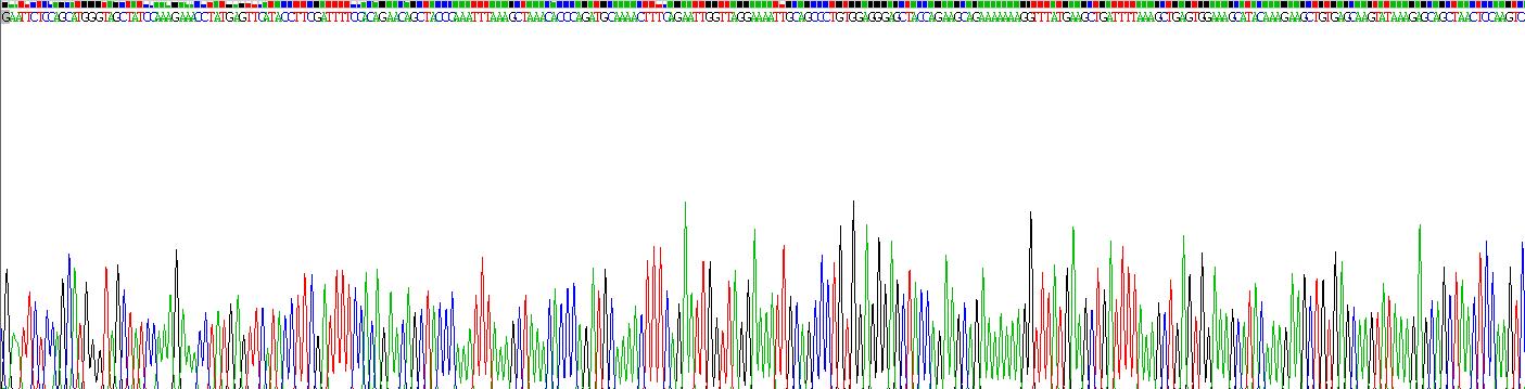 Recombinant Transcription Factor A, Mitochondrial (TFAM)