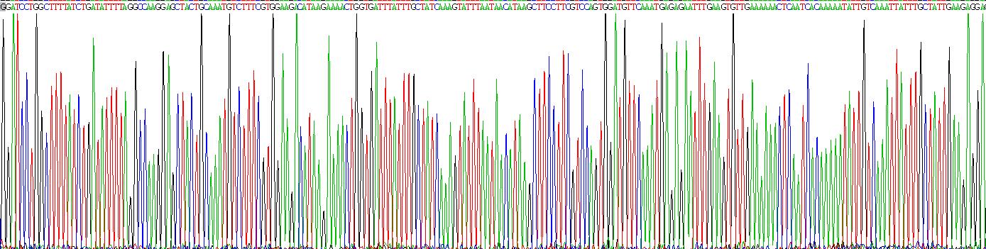 Recombinant TANK Binding Kinase 1 (TBK1)