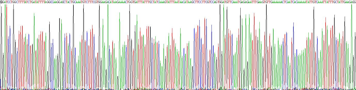 Recombinant TANK Binding Kinase 1 (TBK1)