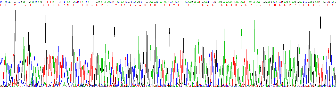 Recombinant Sulfatase 1 (SULF1)