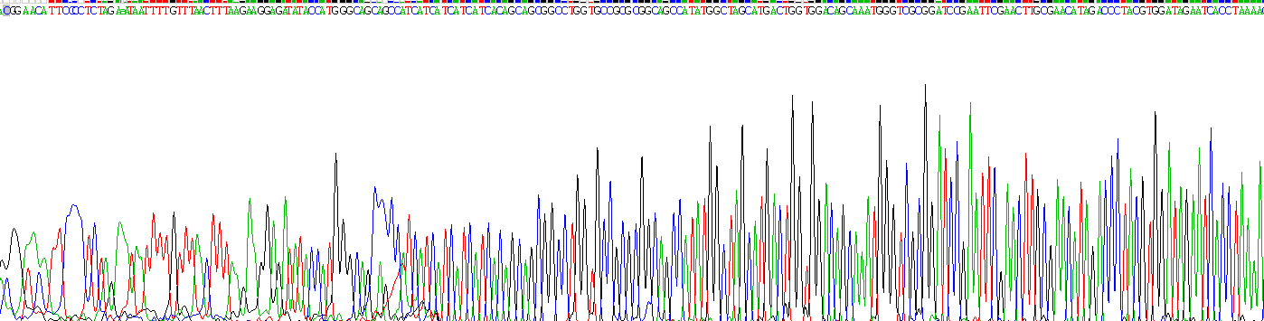 Recombinant SRSF Protein Kinase 2 (SRPK2)