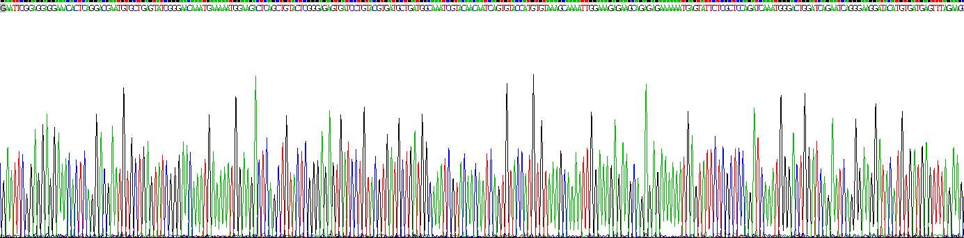 Recombinant Serine Peptidase Inhibitor Kazal Type 5 (SPINK5)