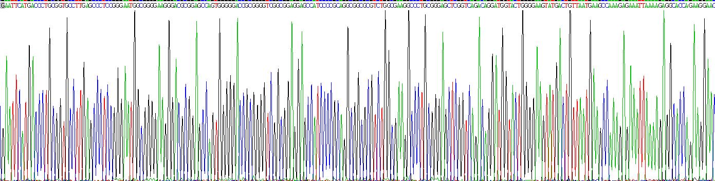 Recombinant Suppressors Of Cytokine Signaling 2 (SOCS2)