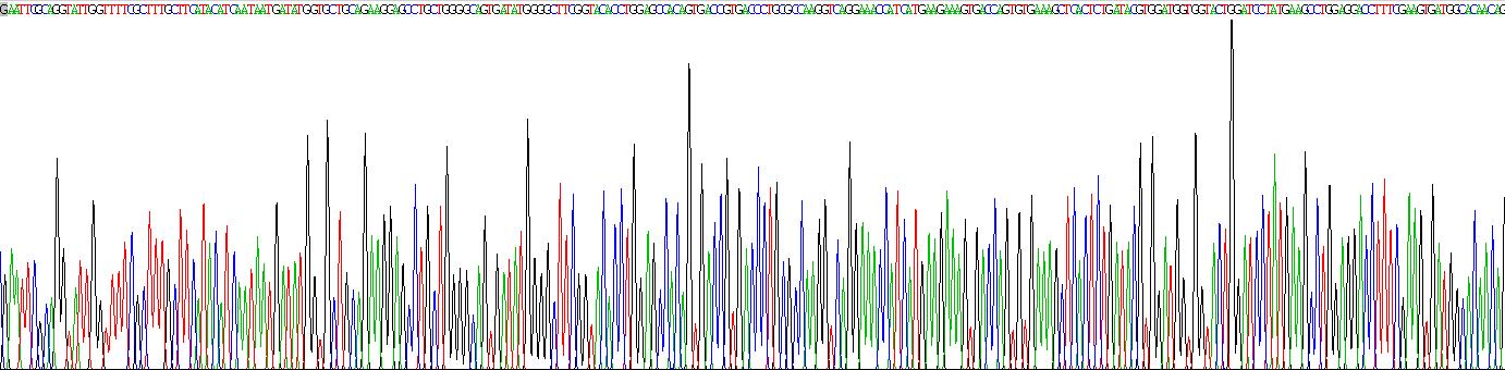 Recombinant Sialic Acid Acetylesterase (SIAE)