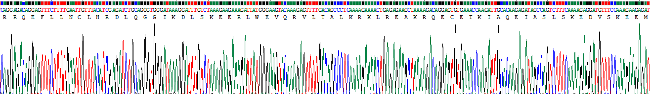 Recombinant RalA Binding Protein 1 (RALBP1)