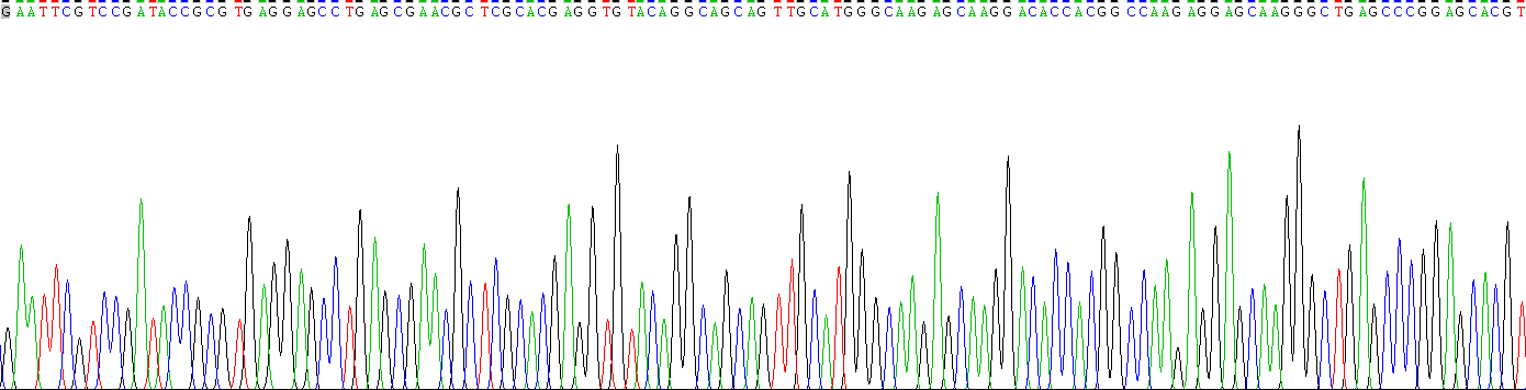 Recombinant Protamine 2 (PRM2)