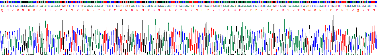 Recombinant Prolactin Receptor (PRLR)