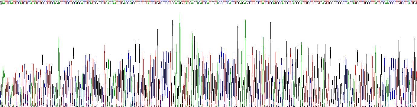 Recombinant Preferentially Expressed Antigen In Melanoma (PRAME)