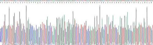 Recombinant Periostin (POSTN)