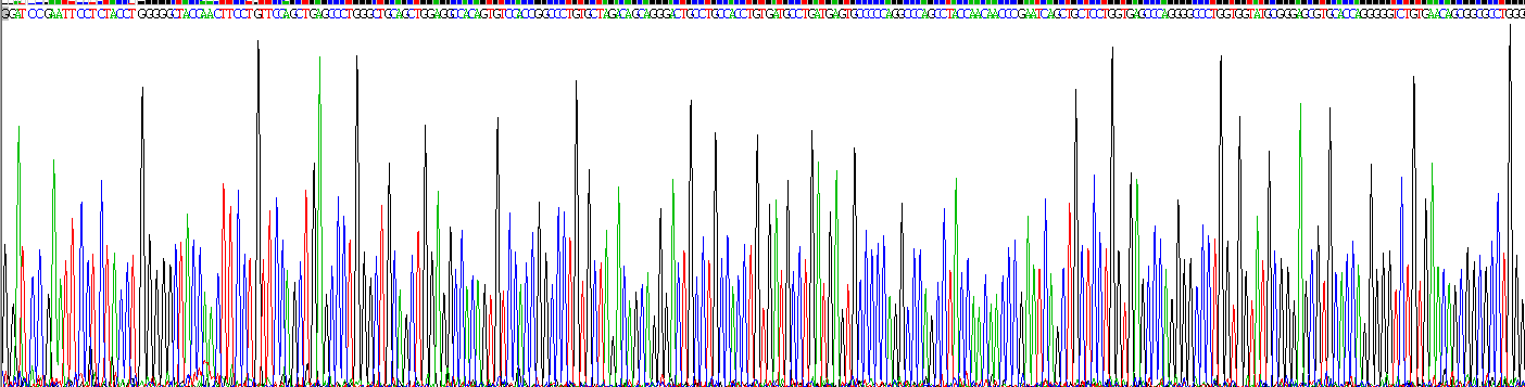 Recombinant Plexin B1 (PLXNB1)