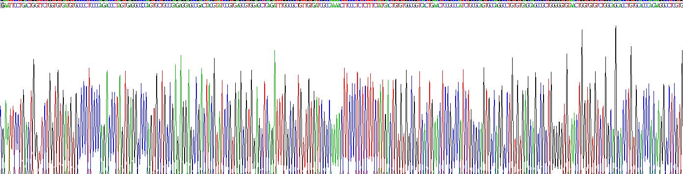 Recombinant Plexin B1 (PLXNB1)