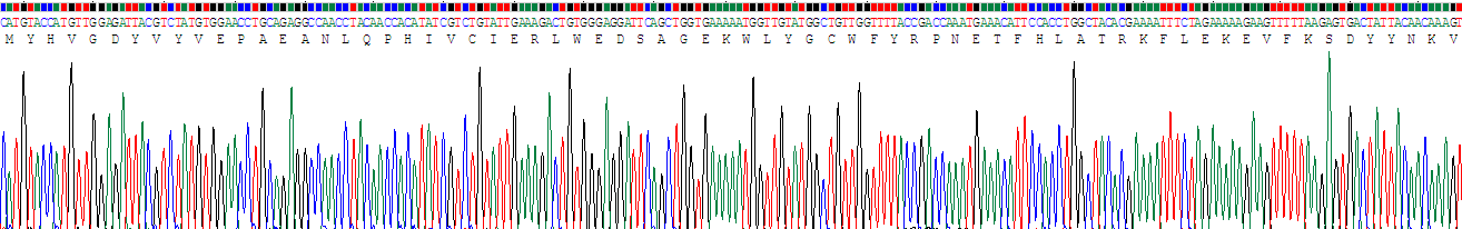 Recombinant Polybromo 1 (PBRM1)