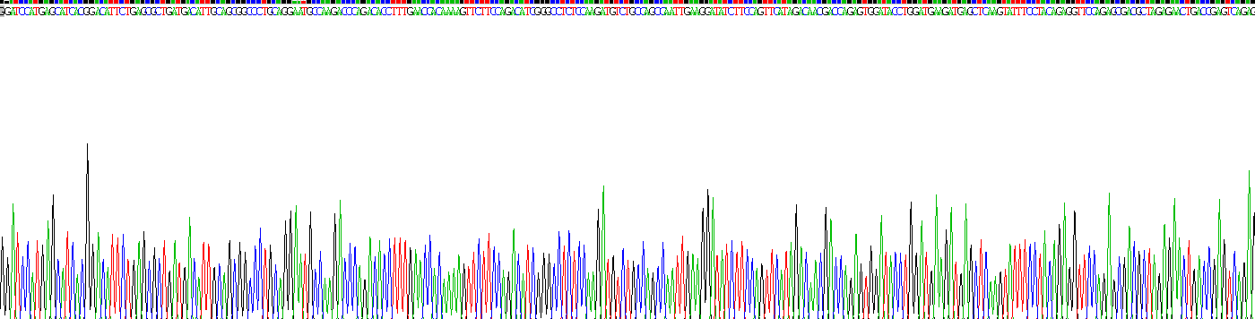 Recombinant Oncomodulin (OCM)