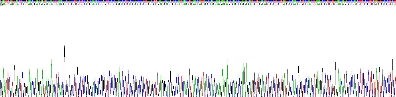 Recombinant Ninjurin 1 (NINJ1)