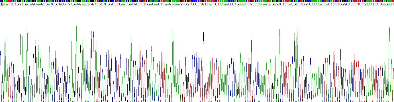 Recombinant Neurogenic Differentiation 6 (NEUROD6)