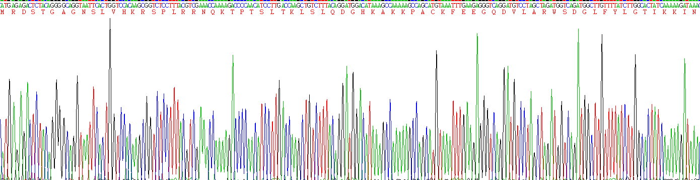 Recombinant Metal Response Element Binding Transcription Factor 2 (MTF2)