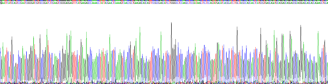 Recombinant Microphthalmia Associated Transcription Factor (MITF)