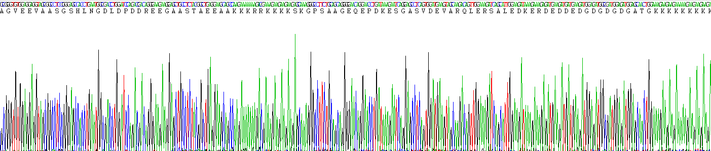 Recombinant Methionyl Aminopeptidase 2 (METAP2)