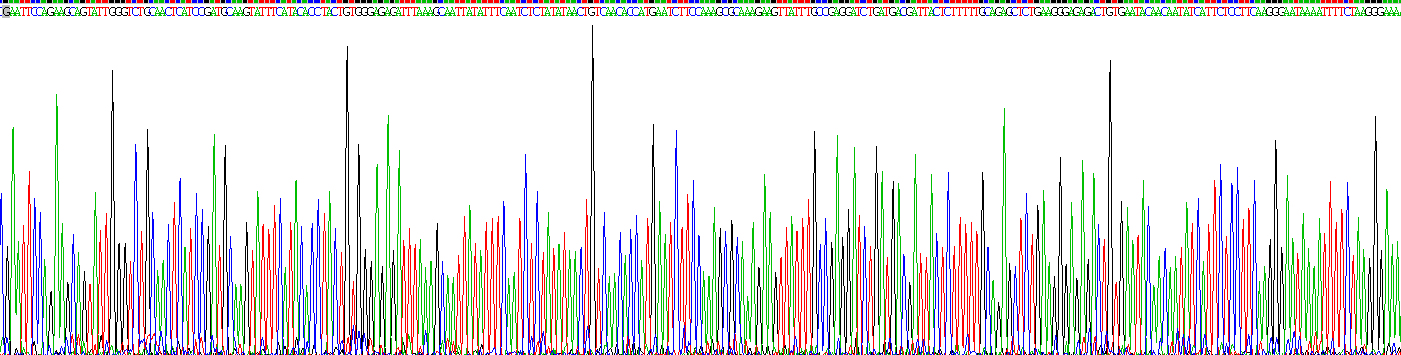 Recombinant Lymphocyte Antigen 96 (LY96)