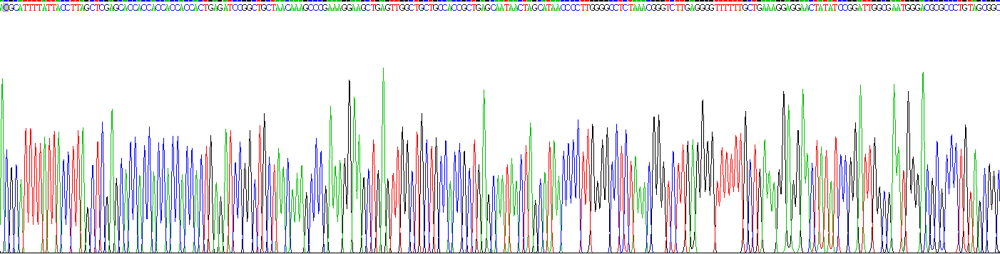 Recombinant Leucine Rich Repeat Kinase 2 (LRRK2)