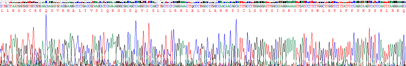 Recombinant Leucine Rich Repeat Kinase 2 (LRRK2)