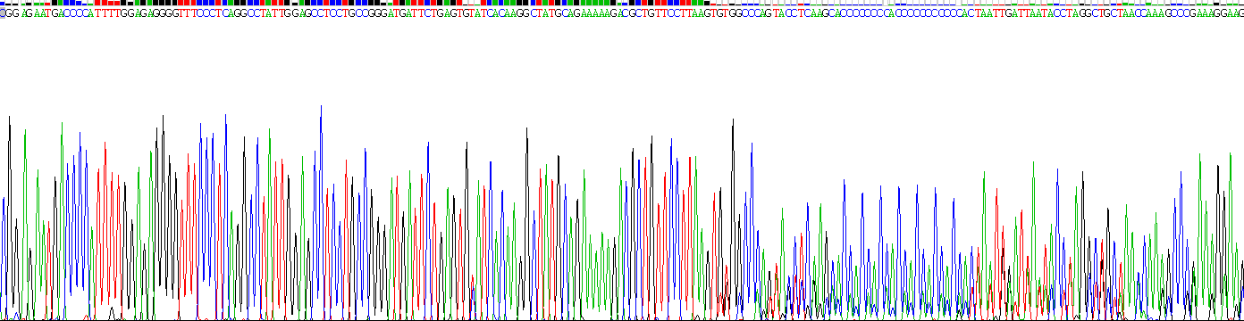 Recombinant Liver Expressed Antimicrobial Peptide 2 (LEAP2)