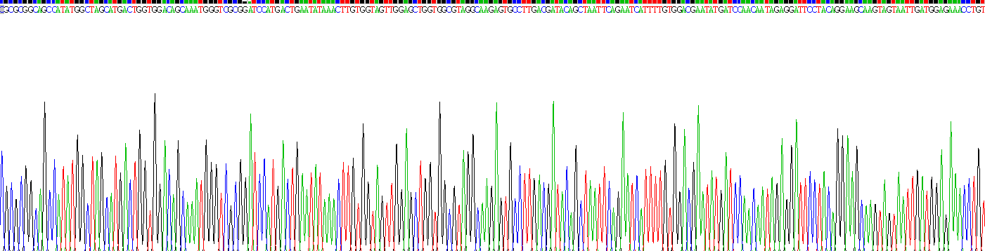 Recombinant V-Ki-Ras2 Kirsten Rat Sarcoma Viral Oncogene Homolog (KRAS)