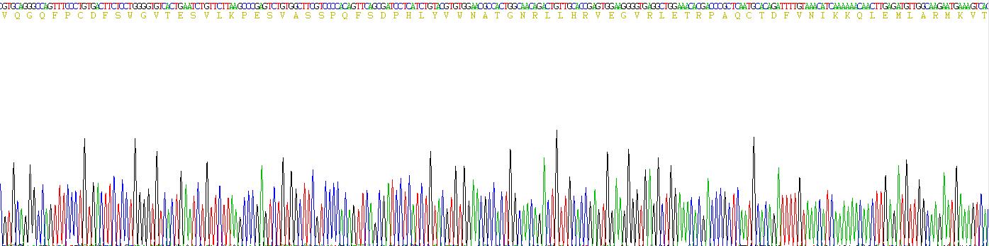 Recombinant Klotho Beta (KLb)