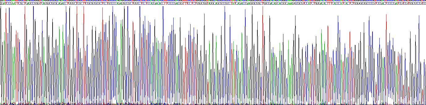 Recombinant Klotho (KL)