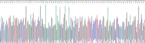 Recombinant Inter Alpha-Globulin Inhibitor H5 (ITIH5)