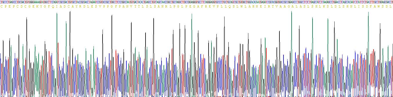 Recombinant Immunoglobulin Superfamily Containing Leucine Rich Repeat Protein (ISLR)