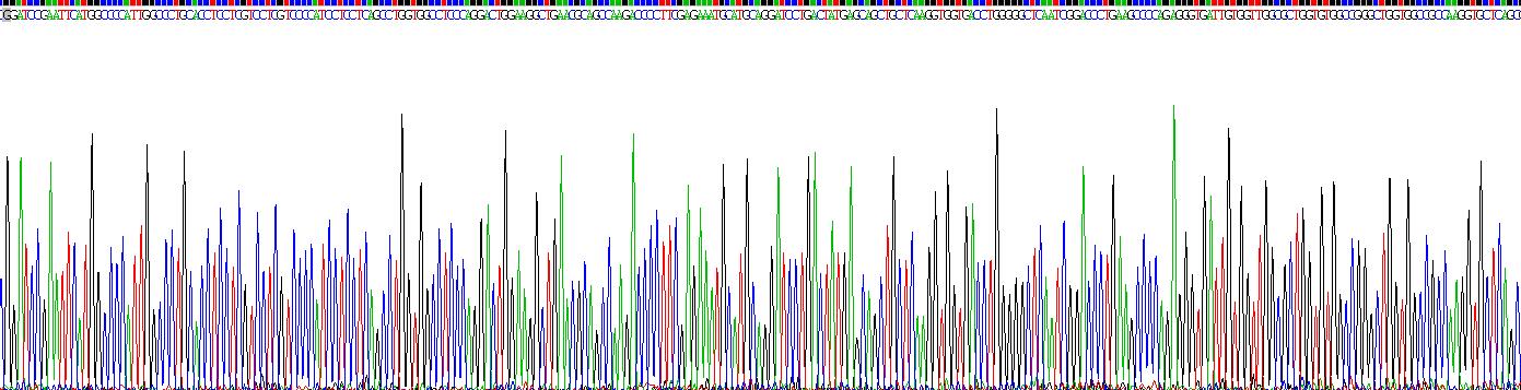 Recombinant Interleukin 4 Induced Protein 1 (IL4I1)