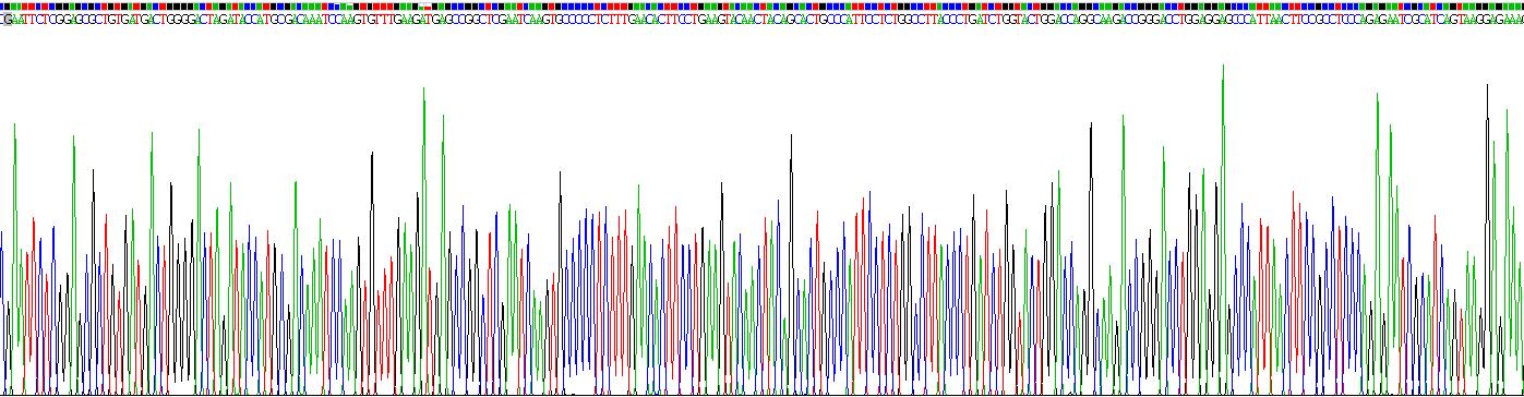 Recombinant Interleukin 1 Receptor Accessory Protein (IL1RAP)