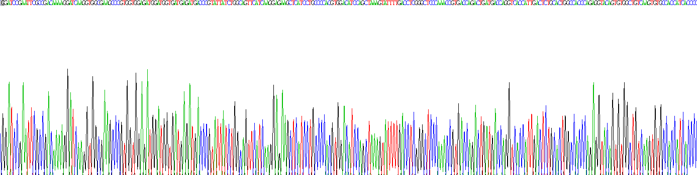 Recombinant Isocitrate Dehydrogenase 2, mitochondrial (IDH2)