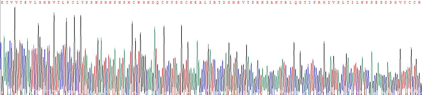 Recombinant T-Cell Immunoglobulin And Mucin Domain Containing Protein 4 (TIMD4)