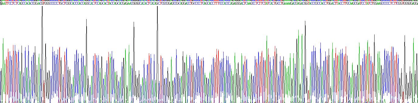 Recombinant T-Box Protein 4 (TBX4)