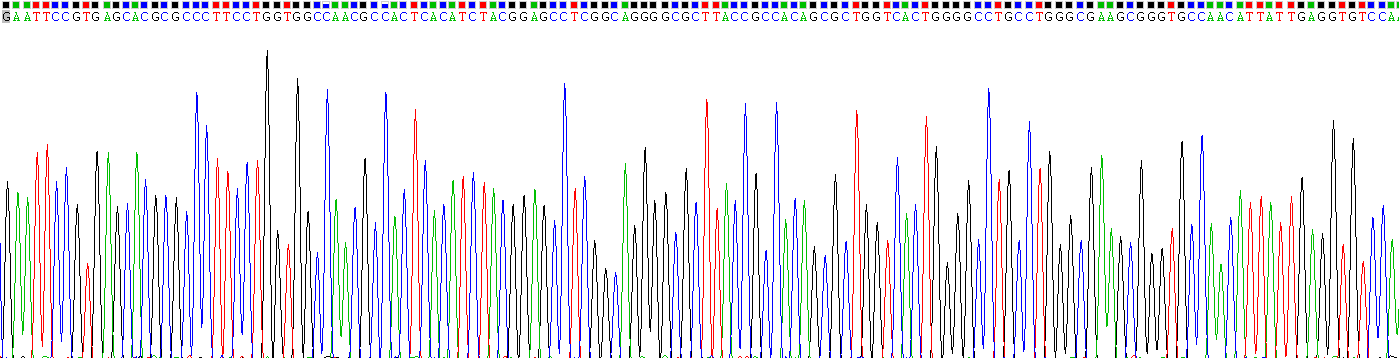 Recombinant Patatin Like Phospholipase Domain Containing Protein 2 (PNPLA2)