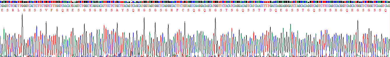 Recombinant Hornerin (HRNR)