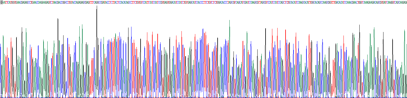 Recombinant Homeobox Protein B4 (HOXB4)