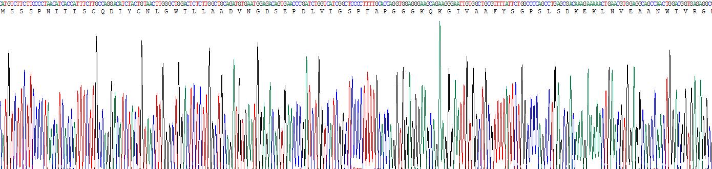 Recombinant Glycosylphosphatidylinositol Specific Phospholipase D1 (GPLD1)