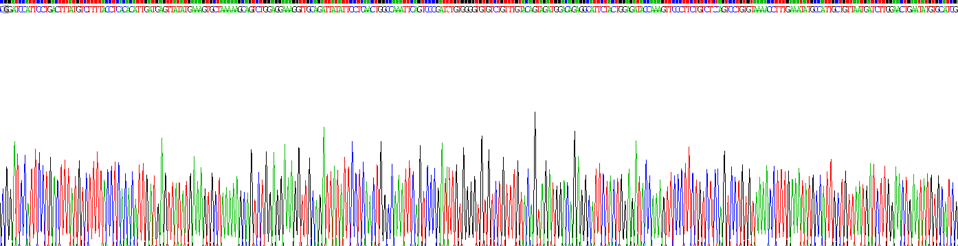 Recombinant Glutaminase (GLS)