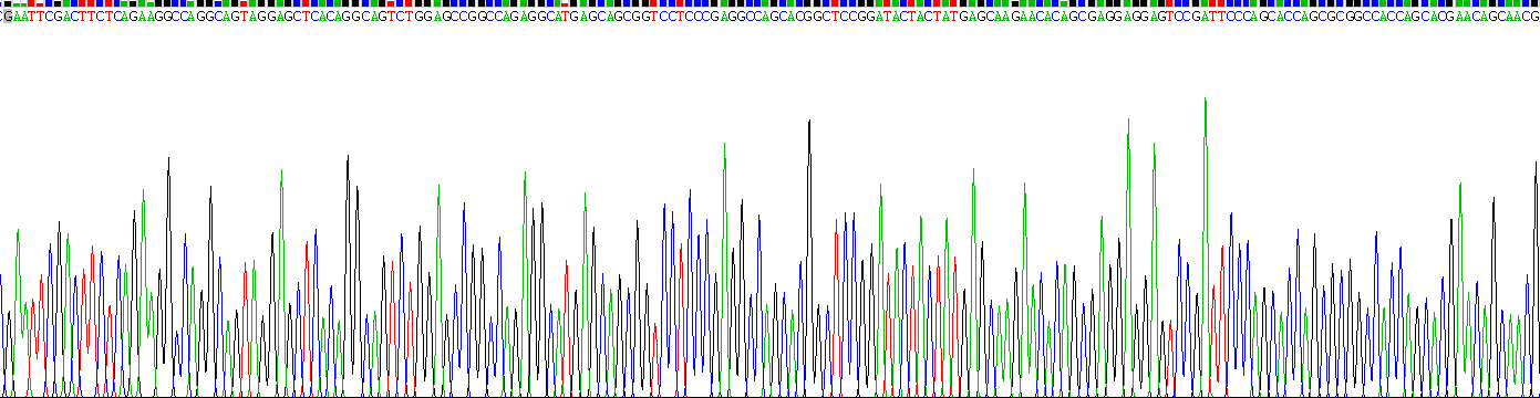 Recombinant Filaggrin (FLG)